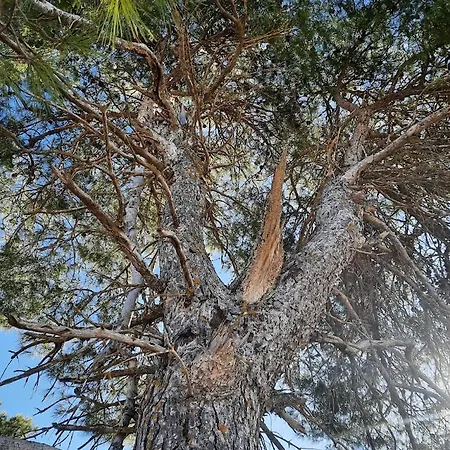 Duplex Llorach I Σπίτι διακοπών *